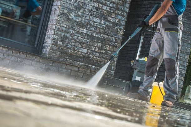 Best Soft Washing for Delicate Surfaces in Riverside, IA
