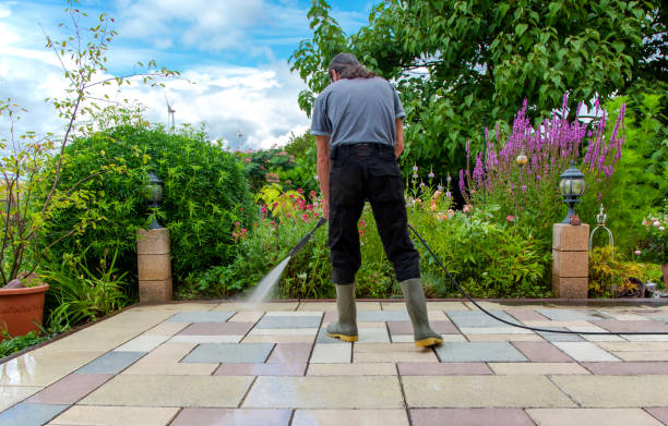 Best Residential Pressure Washing in Riverside, IA